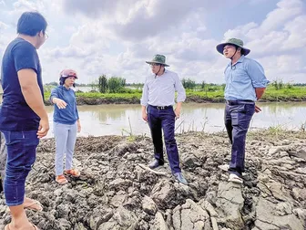 Nâng tầm vị thế trung tâm nghiên cứu khoa học và bảo tồn văn hóa lúa nước