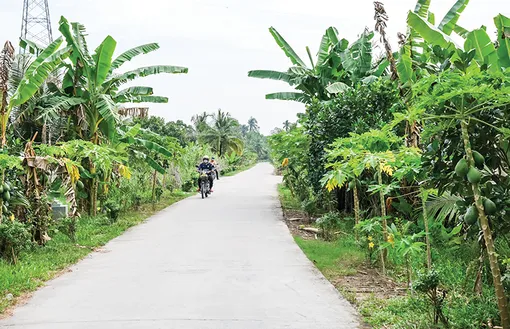 Phong Điền tăng tốc giải ngân vốn đầu tư công