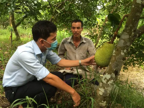 Đồng hành cùng nông dân phát triển sản xuất