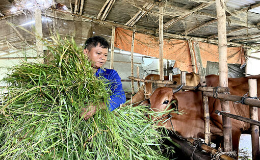 ជម្នះ​ការ​លំ​បាក ឈាន​ឡើង​ធូរ​ធារ