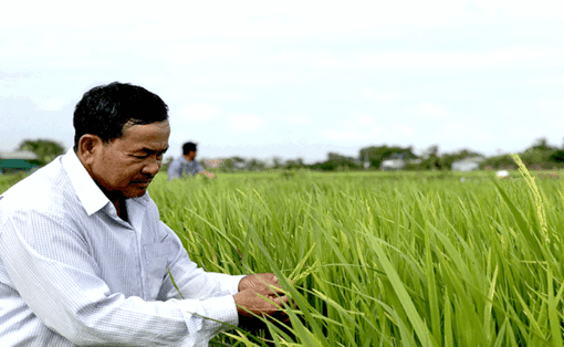 អស់​ពី​ចិត្ត​ដើម្បី​ភូមិ​ស្រុក