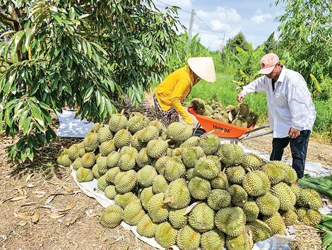 Phát triển kinh tế, nâng cao đời sống người dân