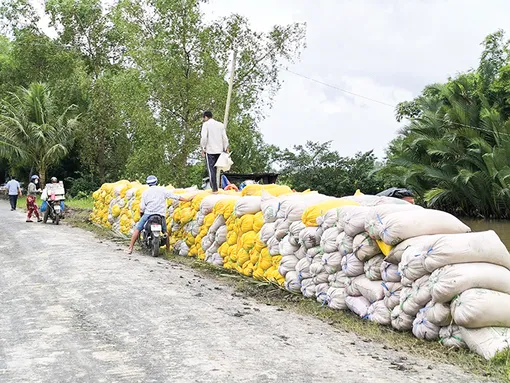 Làm giàu nhờ đồng ruộng