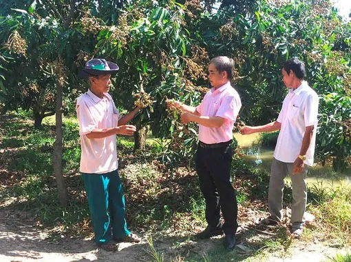 Hướng đến mục tiêu giảm nghèo bền vững Hướng đến mục tiêu giảm nghèo bền vững