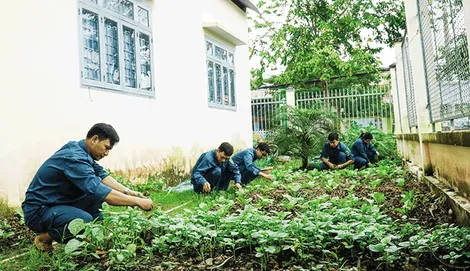 Ban Chỉ huy Quân sự phường Thuận Hưng làm theo lời Bác