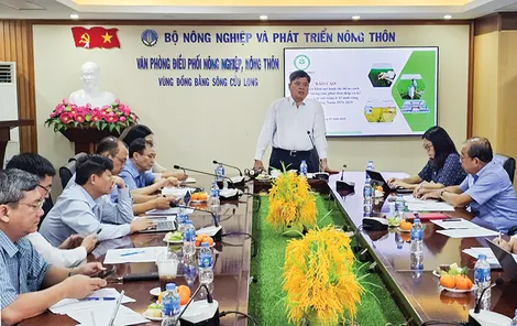 Triển khai nhân rộng mô hình thí điểm sản xuất lúa chất lượng cao, phát thải thấp tại vùng ĐBSCL