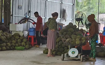 Dạo quanh thị trường