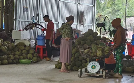 Dạo quanh thị trường