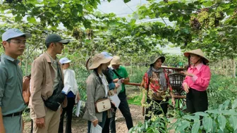 Khảo sát các điểm du lịch nông nghiệp tại huyện Cờ Đỏ