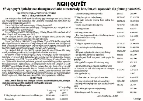 NGHỊ QUYẾT <br> Về việc quyết định dự toán thu ngân sách nhà nước trên địa bàn, thu, chi ngân sách địa phương năm 2025