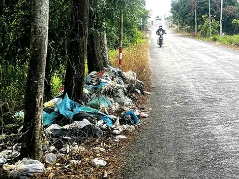 Bỏ rác không đúng nơi quy định, gây ô nhiễm môi trường, mất mỹ quan đô thị