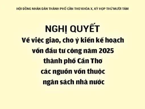 NGHỊ QUYẾT<br>Về việc giao, cho ý kiến kế hoạch vốn đầu tư công năm 2025 thành phố Cần Thơ các nguồn vốn thuộc ngân sách nhà nước