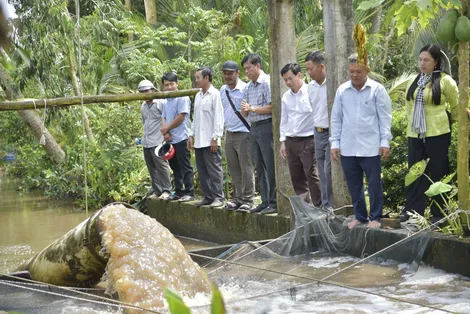 Trợ lực cho kinh tế tập thể