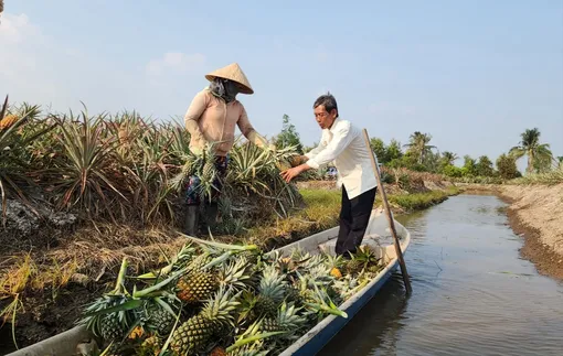 Phát huy vai trò điều phối, liên kết để ĐBSCL phát triển nhanh và bền vững