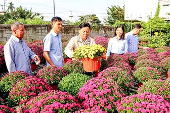 Lãnh đạo quận Bình Thủy thăm Làng hoa kiểng Phó Thọ - Bà Bộ