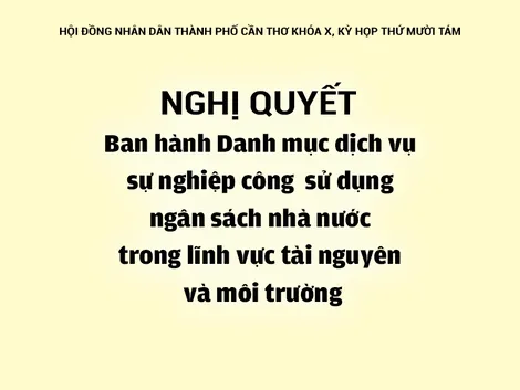 NGHỊ QUYẾT<br>Ban hành Danh mục dịch vụ sự nghiệp công sử dụng ngân sách nhà nước trong lĩnh vực tài nguyên và môi trường