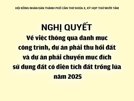 NGHỊ QUYẾT<br>Về việc thông qua danh mục công trình, dự án phải thu hồi đất và dự án phải chuyển mục đích sử dụng đất có diện tích đất trồng lúa năm 2025