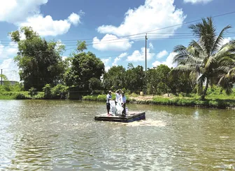 Những “ngôi sao” hợp tác xã