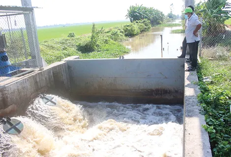 Tăng cường giải pháp ứng phó khô hạn, xâm nhập mặn