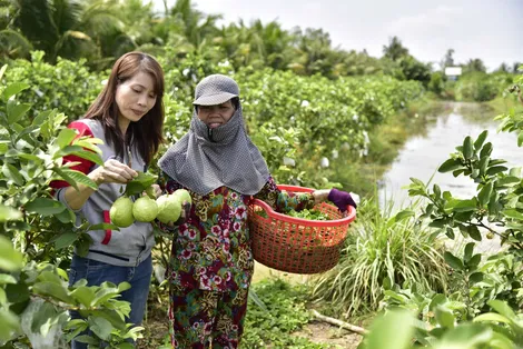 Khi công nhân trở về quê lập nghiệp