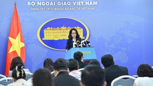 Vietnam ready to cooperate closely with US in receiving deported nationals