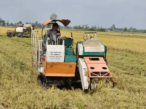 Sơ kết mô hình Canh tác lúa giảm phát thải phục vụ phát triển bền vững vùng nguyên liệu lúa gạo xuất khẩu của ĐBSCL