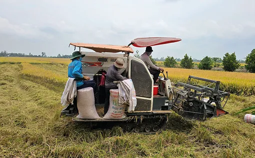 Tích cực chuẩn bị phương tiện, máy móc thu hoạch lúa đông xuân Tích cực chuẩn bị phương tiện, máy móc thu hoạch lúa đông xuân