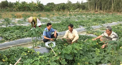 Nâng cao chất lượng cuộc sống hộ nghèo