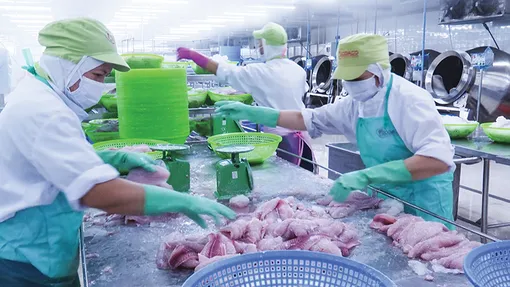 Tín hiệu vui cho hoạt động xuất khẩu của Tiền Giang Tín hiệu vui cho hoạt động xuất khẩu của Tiền Giang