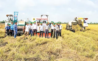 Hỗ trợ nông dân trồng lúa chất lượng cao, phát thải thấp