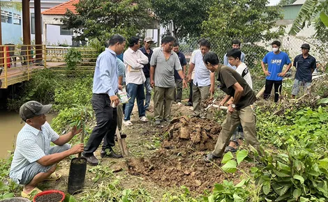 Nâng cao kỹ thuật, kỹ năng nghề cho lao động nông thôn