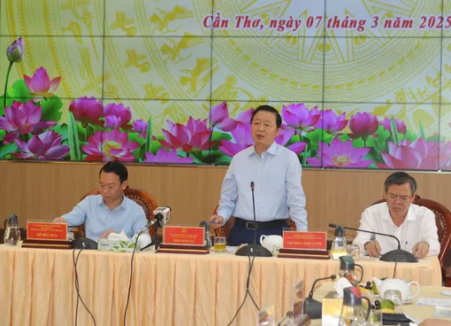 Phó Thủ tướng Trần Hồng Hà chủ trì hội nghị về sản xuất, thị trường lúa gạo và phòng chống hạn mặn vùng ĐBSCL