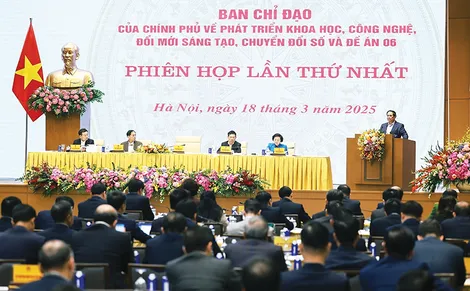 Phiên họp thứ nhất Ban Chỉ đạo của Chính phủ về Phát triển khoa học, công nghệ, đổi mới sáng tạo, chuyển đổi số và Đề án 06