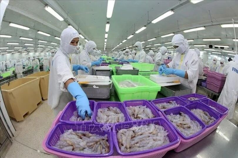 Vietnam becomes Brazil’s 2nd largest aquatic product supplier