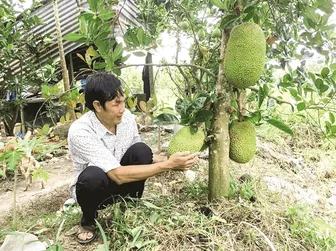 Niềm vui trong lao động