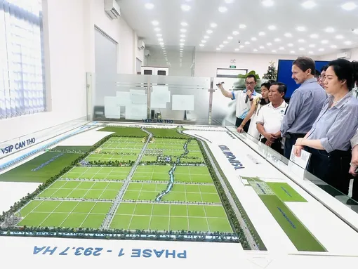 Hướng dẫn TP Cần Thơ thí điểm sử dụng cát biển làm vật liệu san lấp cho dự án khu công nghiệp