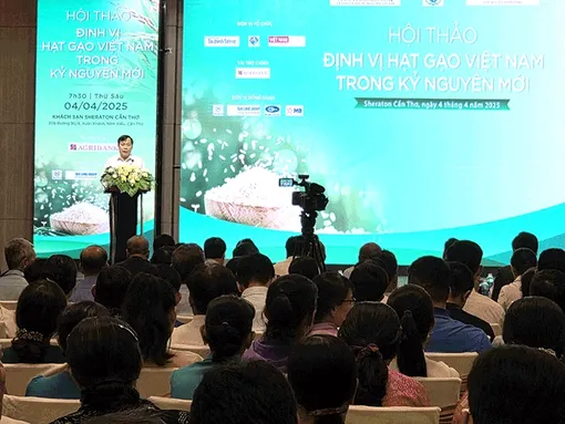 Tìm giải pháp để ngành lúa gạo Việt Nam ổn định phát triển trong kỷ nguyên mới