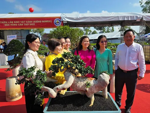 Hơn 100 tác phẩm tham dự Hội thi và Triển lãm sinh vật cảnh (kiểng bonsai) Đền Hùng Cần Thơ năm 2025