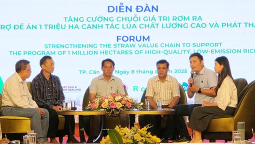 Tăng cường chuỗi giá trị rơm rạ hỗ trợ thực hiện Đề án 1 triệu héc-ta lúa chất lượng cao và phát thải thấp