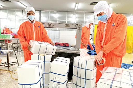 Tổng vốn đầu tư đăng ký vào các khu công nghiệp đạt 2,26 tỉ USD