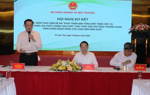 Sau 1 năm triển khai, Đề án 1 triệu héc-ta lúa mang lại nhiều kết quả tích cực