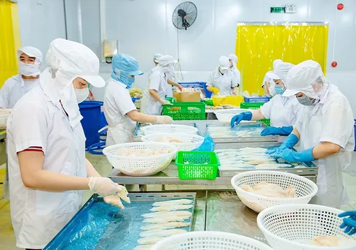 Thúc đẩy hợp tác xã chuyển đổi sản xuất xanh, phát triển bền vững