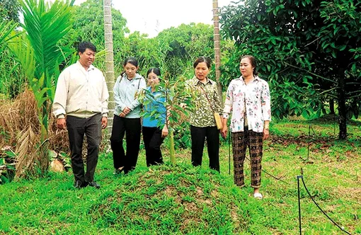 Ðòn bẩy giúp hội viên phụ nữ phát triển kinh tế