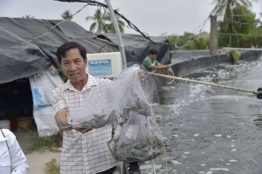 Tỉ phú Ba Ớt kể chuyện nuôi tôm công nghệ cao