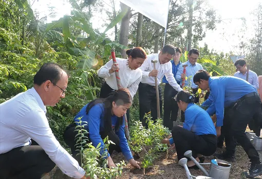 Thành lập 91 đội hình thanh niên tình nguyện bảo vệ môi trường