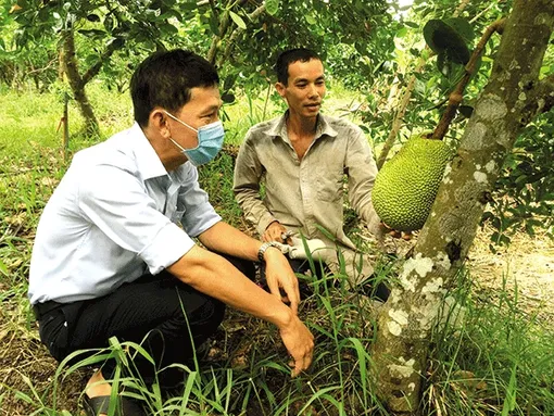 Hiệu quả của những mô hình kinh tế tập thể