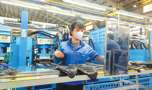 Cái Răng có gần 2.120 doanh nghiệp đang hoạt động