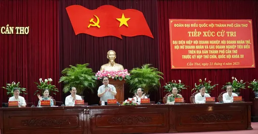 Chính phủ có giải pháp đa dạng hóa thị trường, tiếp cận nguồn vốn, nâng cao năng lực cạnh tranh, hiệu quả hoạt động của doanh nghiệp