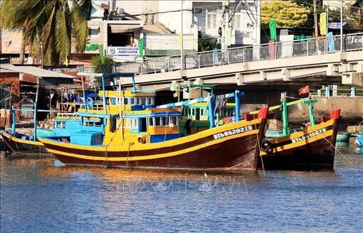 Binh Thuan ramps up measures to combat IUU fishing
