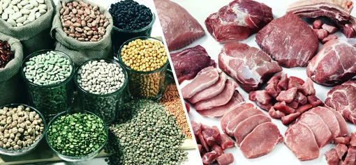 Nên chọn đạm thực vật hay động vật để kéo dài tuổi thọ?